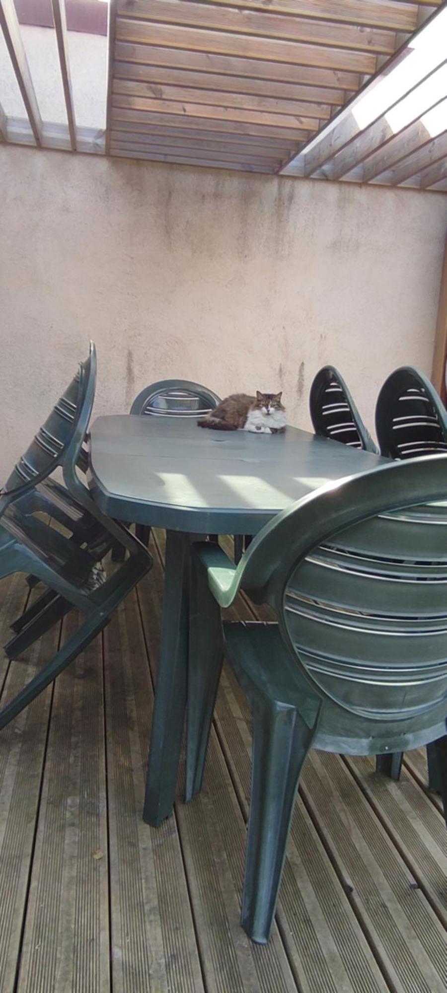 Berck Maison De Vacances Avec Terrasse Et Jardin, Exterior foto